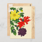 Nishimura Hodo Dahlias oosterse japanesbloemen Briefkaart (Voorkant / Achterkant)