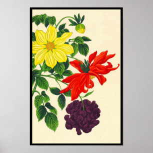 Nishimura Hodo Dahlias oosterse Japanse bloemen Poster