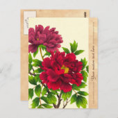Nishimura Hodo Peony japanese bloemen fijne kunst Briefkaart (Voorkant / Achterkant)