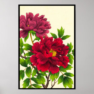 Nishimura Hodo Peony japanese bloemen fijne kunst Poster