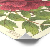 Nishimura Hodo Peony Japanse Flowers Fine Art Poster (Hoek)