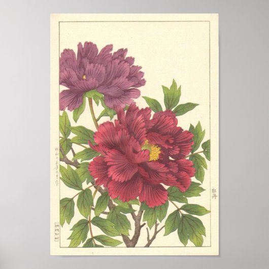 Nishimura Hodo Peony Japanse Flowers Fine Art Poster (Voorkant)