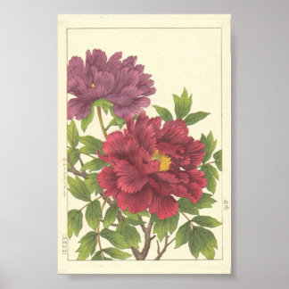 Nishimura Hodo Pioen Japanse Bloemen Fijne Kunst Poster