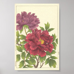 Nishimura Hodo Pioen Japanse Bloemen Fijne Kunst Poster