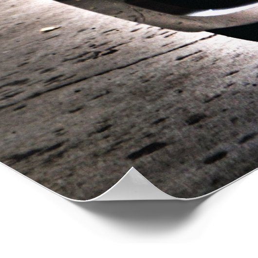 Nissan Altima 2009 Poster (Hoek)