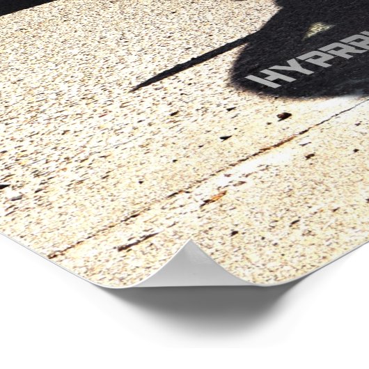 Nissan GT-R35, R34, R33, R32, Hakosuka Skyline Poster (Hoek)