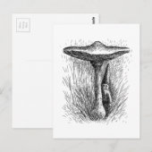 Nisse Elf Behind a Toadstool Briefkaart (Voorkant / Achterkant)