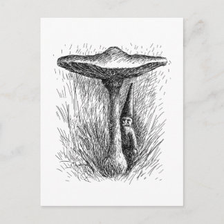 Nisse Elf Behind a Toadstool Briefkaart