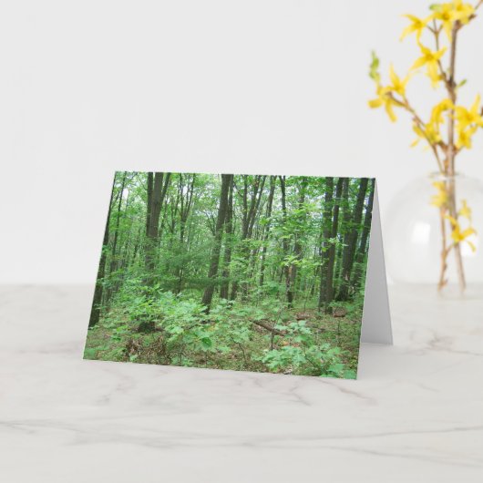 Nitany-notitiekaarten monteren kaart (Gele Bloem)