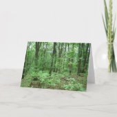 Nitany-notitiekaarten monteren kaart (Voorkant)