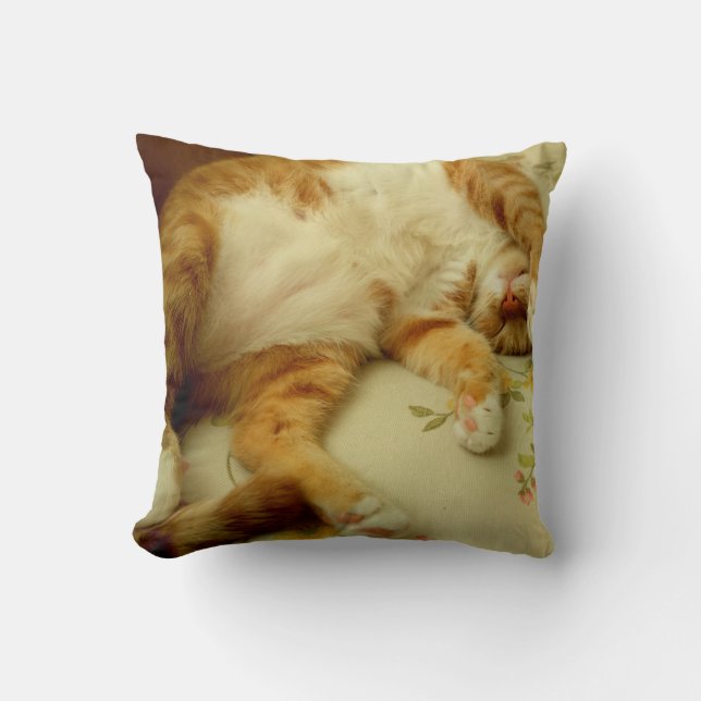 Nite Nite Dreaming Cat Pillow Kussen (Voorkant)
