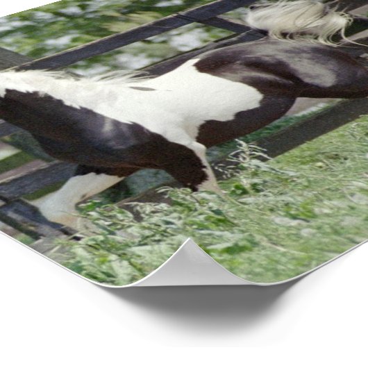 Nite of Fame Poster (Hoek)