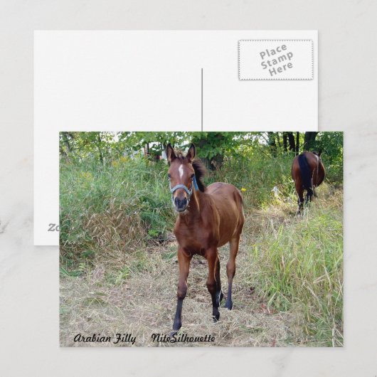 NiteSilhouette Briefkaart (Voorkant / Achterkant)