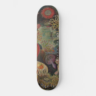 Nitigdecks - Wonders van het Zee - Actiniae Skateb Persoonlijk Skateboard