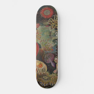 Nitigdecks - Wonders van het Zee - Actiniae Skateb Persoonlijk Skateboard