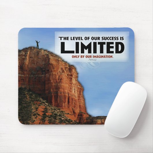 Niveau van de Aangepaste Mousepad van het Succes Muismat (Met muis)