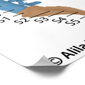 Niveaus van ruggenmergletsel, gelabelde tekening. poster (Hoek)