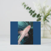 NJ Shark CB Briefkaart (Staand voorkant)