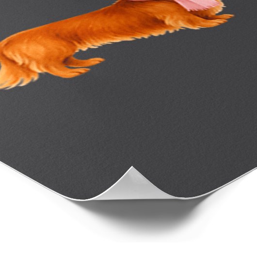 Nk Santa Red Long Haired Dachshund Christmas  Poster (Hoek)