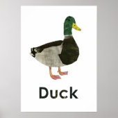 Nl - Eend Poster (Voorkant)