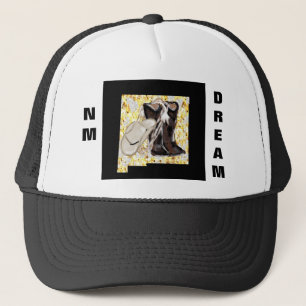 NM DREAM TRUCKER PET