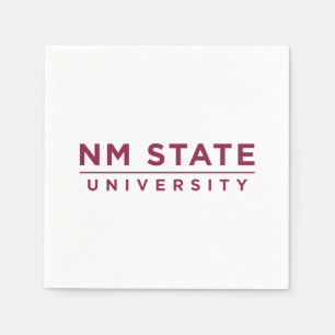 NM Staatsuniversiteit Servet