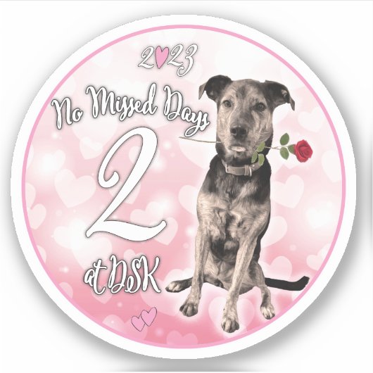 NMD bij DSK - Februari 2023 de Sticker van de Badg (Voorkant)