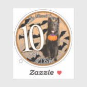 NMD bij DSK - Oktober 2023 Badge Sticker (Vel)