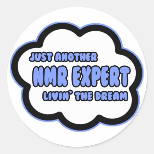 NMR-expert.. Livin' The Dream Ronde Sticker (Voorkant)