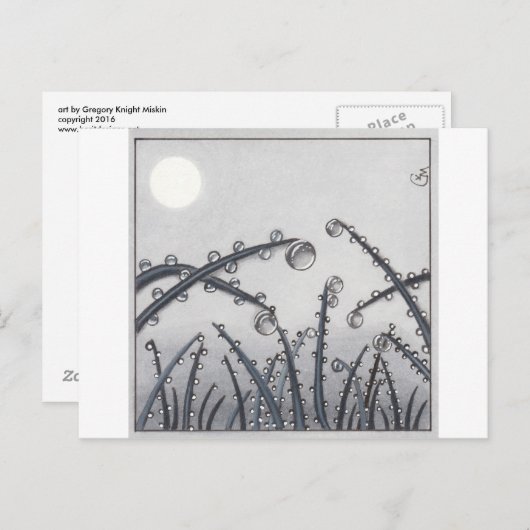 No. 33 Morning Dew Briefkaart (Voorkant / Achterkant)