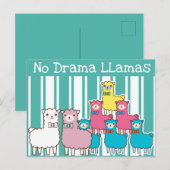 No Drama Llamas Briefkaart (Voorkant / Achterkant)
