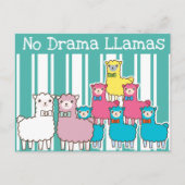No Drama Llamas Briefkaart (Voorkant)