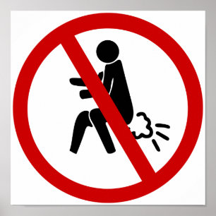 NO Farting ⚠ Funny Thai Toilet Sign ⚠ Poster