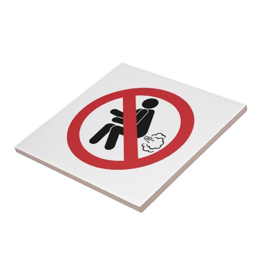 NO Farting ⚠ Funny Thai Toilet Sign ⚠ Tegeltje (Zijkant)