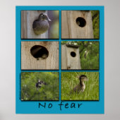 "NO FEAR" Hout Ducks Fledging Poster (Voorkant)