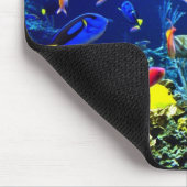 No fundo do mar muismat (Hoek)