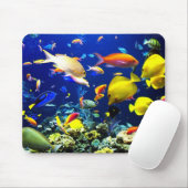 No fundo do mar muismat (Met muis)