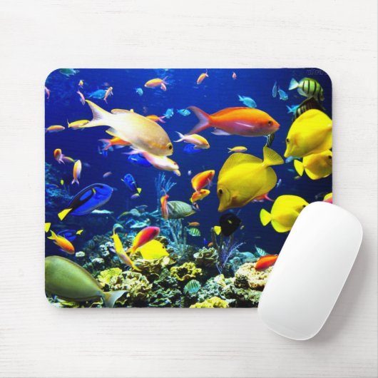 No fundo do mar muismat (Met muis)