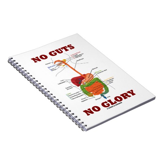 No Glory (Digestive System Humor) Notitieboek (Rechterzijde)