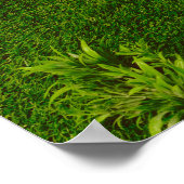 No goals, no stress. Anti Motivational Poster (Hoek)