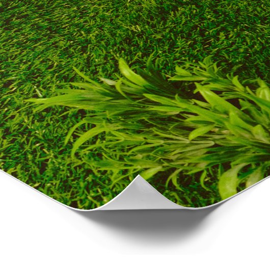 No goals, no stress. Anti Motivational Poster (Hoek)