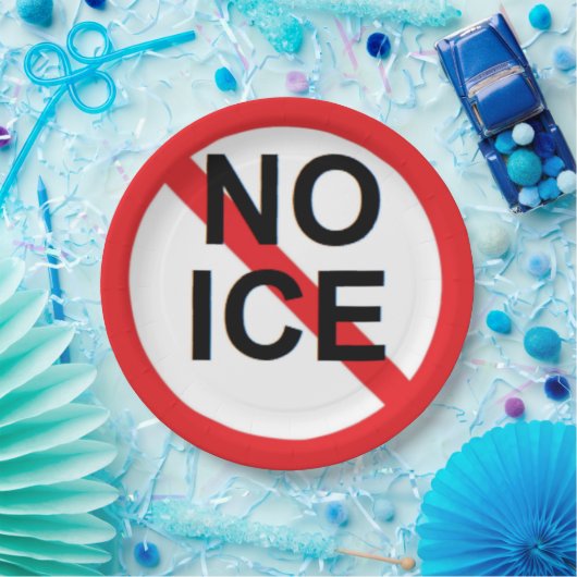 NO ICE  PAPIEREN BORDJE (Feest)