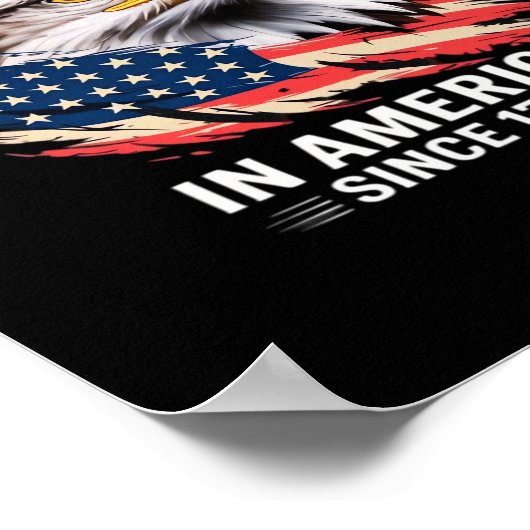 No Kings In America Classic Retro Graphic Poster (Hoek)