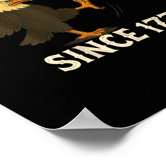 No Kings In America Since 1776 Funny Freedom Vibe Poster (Hoek)