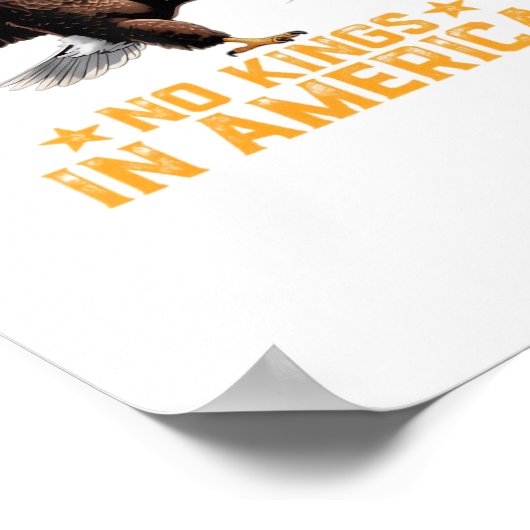 No Kings In America We The People Political Retro  Poster (Hoek)