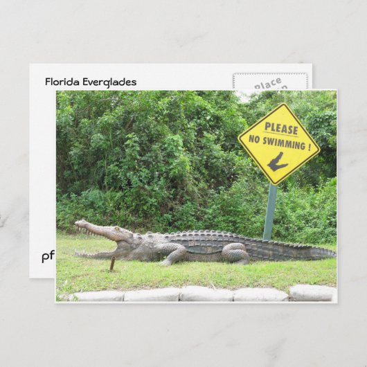 No Swimming! Briefkaart (Voorkant / Achterkant)