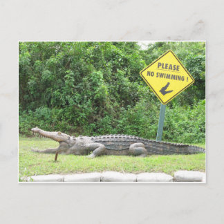 No Swimming! Briefkaart