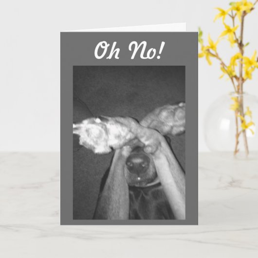 NO WAY-IMPOSSIBLE-"50ste" HUMOR Kaart (Gele Bloem)