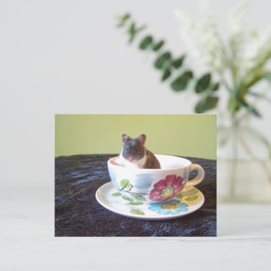 noah 2 Briefkaart (Staand voorkant)