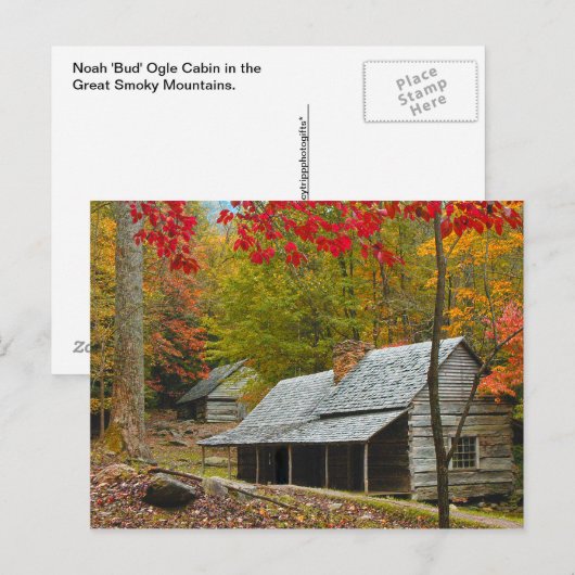 Noah "Bud" Ogle Cabin in the Smokies Briefkaart (Voorkant / Achterkant)